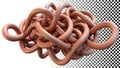 Abstract tangled organic structure intricate design element png transparent image Generative AI