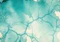 Abstract teal and cream watercolor texture with crackle effect dynamic fluid art background Royalty Free Stock Photo
