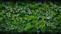 Abstract texture and background as greenwall. AI Generative Royalty Free Stock Photo