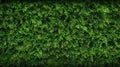 Abstract texture and background as greenwall. AI Generative Royalty Free Stock Photo