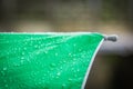 Abstract texture background of beautiful raindrop or water drops on green-white umbrella surface Royalty Free Stock Photo