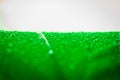 Abstract texture background of beautiful raindrop or water drops on green-white umbrella surface Royalty Free Stock Photo