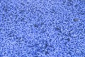 abstract texture, background in blue color. Royalty Free Stock Photo