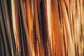 Abstract texture background with close up of dried natural palm tree leaf Royalty Free Stock Photo