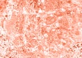 Abstract texture background. Peach fuzz and white color.