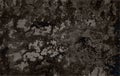 Dark grunge wall texture background. Abstract Black spots texture. grunge texture. Royalty Free Stock Photo