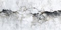 Abstract Texture Black and White Wall Crack Detail Royalty Free Stock Photo