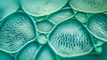 Abstract texture botanical green blue background with leaf plant cells close up selective focus copy space design generative AI Royalty Free Stock Photo