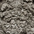 Abstract texture of cement mortar Royalty Free Stock Photo