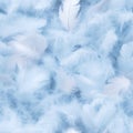 Abstract Texture colored fluffy bird feathers background. Soft and Light blue Pastel Tinted White Feathers Randomly Scattered to Royalty Free Stock Photo