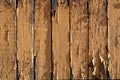 Abstract texture with cracked old paint on a brown wooden board Royalty Free Stock Photo