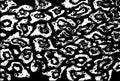 Abstract texture design pattern black and white masking pattern . Jaguar, leopard, cheetah, Panther. Black and white camouflage Royalty Free Stock Photo