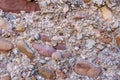 abstract texture of different size stones in a piece of concrete