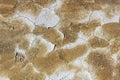 Abstract texture of dried cracked scorched earth. Global warming and shortage of water on the planet concept. Solidified brown