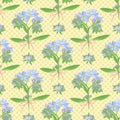 Abstract texture with forget-me-not. Seamless pattern with flower bouquet ornament Royalty Free Stock Photo