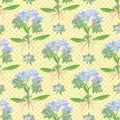 Abstract texture with forget-me-not. Seamless pattern with flower bouquet ornament