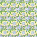 Abstract texture with forget-me-not. Seamless pattern with flower bouquet ornament Royalty Free Stock Photo