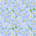 Abstract texture with forget-me-not. Seamless pattern with flower bouquet ornament Royalty Free Stock Photo