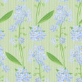 Abstract texture with forget-me-not. Seamless pattern with flower bouquet ornament Royalty Free Stock Photo