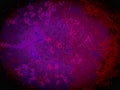 Abstract texture gradient dark red purple background black vignette copy space