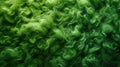 Abstract Texture of Green Sheep Wool. Embodying the Spirit of Saint Patrick\'s Day. Symbolizing Luck and Celebration