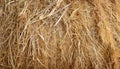 Abstract texture of hay bale, straw backdrop, dry grass background, agricultural concept Royalty Free Stock Photo