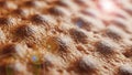 Abstract Texture of Honeycomb with Light Flare Macro View Background Patterned Surface Ideal for Backdrop or Design Royalty Free Stock Photo