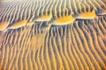 Abstract texture line wave in Oman the desert Royalty Free Stock Photo