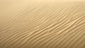 abstract texture line wave in oman the old desert  and the empty quarter Royalty Free Stock Photo