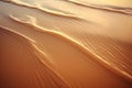 abstract texture line wave in Oman the old desert and the empty quarter Royalty Free Stock Photo