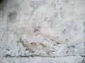 Abstract texture of mossy, porous, cracked and weathered sandstone walls Royalty Free Stock Photo