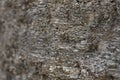 Abstract texture. Mysterious stranger background. Stone wall. Rock texture. Stone background. Cracked lava surface. Rock surface w