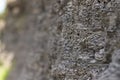 Abstract texture. Mysterious stranger background. Stone wall. Rock texture. Stone background. Cracked lava surface. Rock surface w