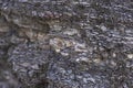 Abstract texture. Mysterious stranger background. Stone wall. Rock texture. Stone background. Cracked lava surface. Rock surface w Royalty Free Stock Photo