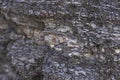 Abstract texture. Mysterious stranger background. Stone wall. Rock texture. Stone background. Cracked lava surface. Rock surface w