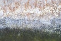 Beautiful, artistic, creative background. White, orange, green and grey rough weathered stone texture Royalty Free Stock Photo