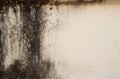 Abstract texture of old concrete wall,Grunge cement textured abstract background,Scratch old wall, Close up dirty and rough Royalty Free Stock Photo