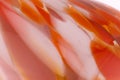 Abstract texture orange waves ellipses macro shot background from close range