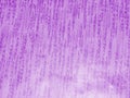 Abstract texture with purple dashes up. Closeup