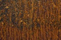 Abstract texture rusty metal sheet Royalty Free Stock Photo