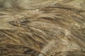 Abstract texture of a sandy beach after the rain. Royalty Free Stock Photo
