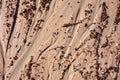 Abstract texture of the sandy beach with the traces of small creeks Royalty Free Stock Photo