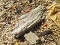 Abstract texture of sandy soil in the heap of West Kalimantan, Indonesia 6