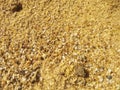 Abstract texture of sandy soil in the heap of West Kalimantan, Indonesia 14