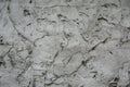 Abstract texture of the stiffened cement mortar for a background Royalty Free Stock Photo