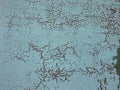 Abstract texture turquoise background with cracks and craquelure