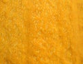 A Pumpkin Skin Royalty Free Stock Photo