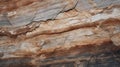 Abstract Textured Wood: Close-up Macro of Patterned Rock Formation