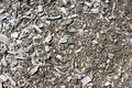 Abstract Textures and Backgrounds: Bark Ground Cover / Mulch