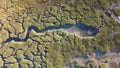 textures and veins cutting thru the wetlands of a tidal river system in Tasmanias Swan river area, Australia